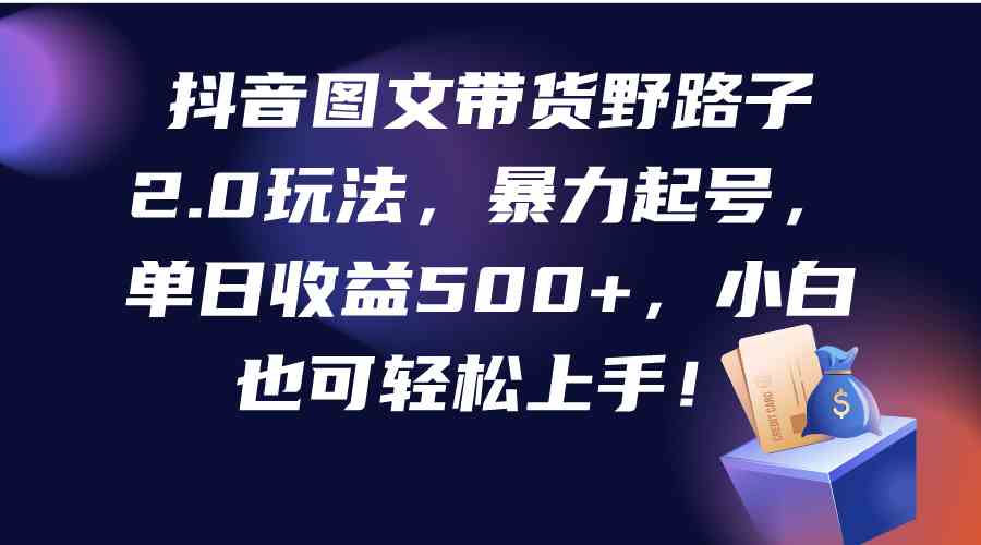 （9790期）抖音图文带货野路子2.0玩法，暴力起号，单日收益500+，小白也可轻松上手！-极客工作室