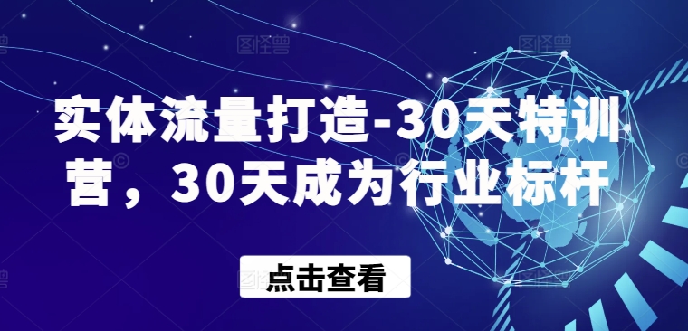 实体流量打造-30天特训营，30天成为行业标杆-极客工作室